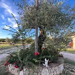 Podere Dell' Olmo * Amelia