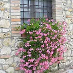 Podere Dell' Olmo Amelia