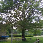 Podere Dell' Olmo