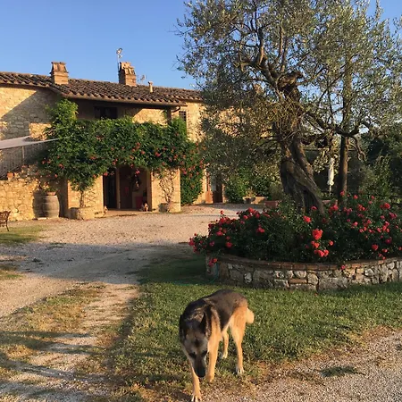 Podere Dell' Olmo Σπίτι διακοπών