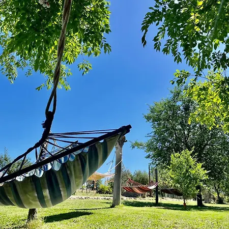 Podere Dell' Olmo Σπίτι διακοπών *