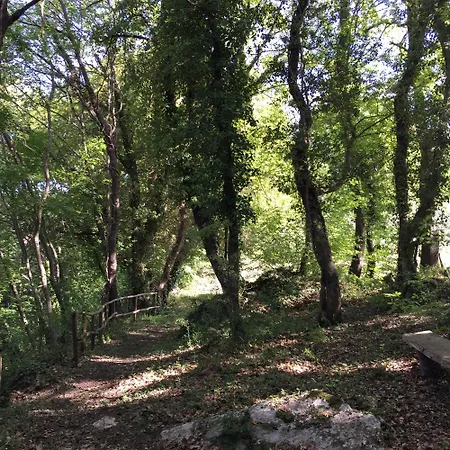 Podere Dell' Olmo Σπίτι διακοπών Amelia