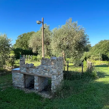 Holiday home Podere Dell' Olmo *