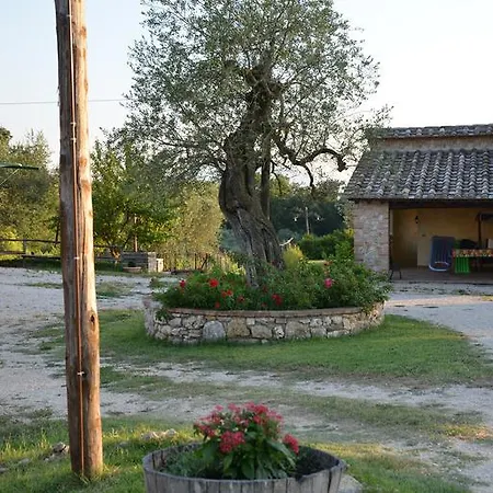 Σπίτι διακοπών Podere Dell' Olmo *