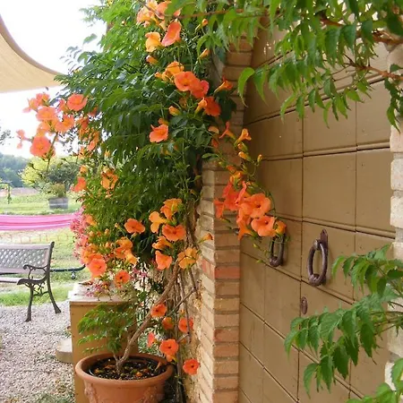 Σπίτι διακοπών Podere Dell' Olmo *