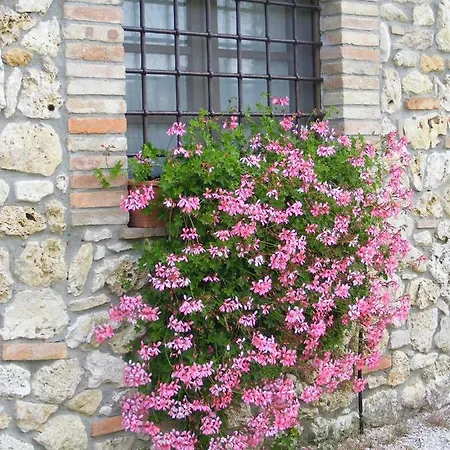 Podere Dell' Olmo Amelia