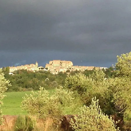 Podere Dell' Olmo Holiday home