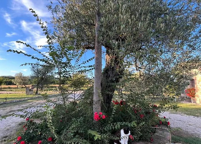 Podere Dell' Olmo * Amelia