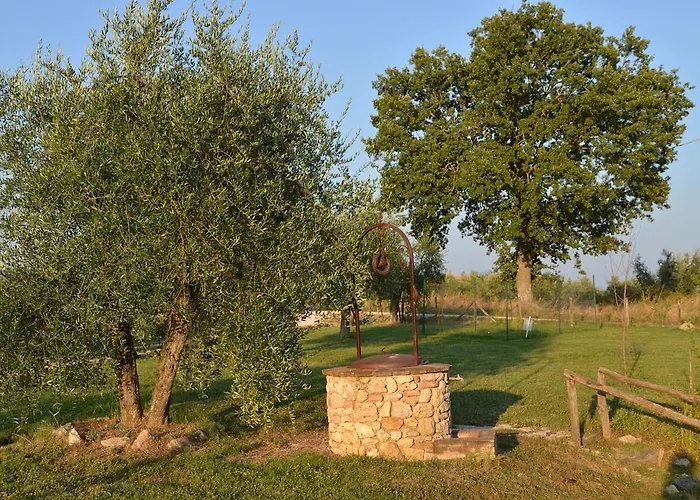 Podere Dell' Olmo Σπίτι διακοπών *